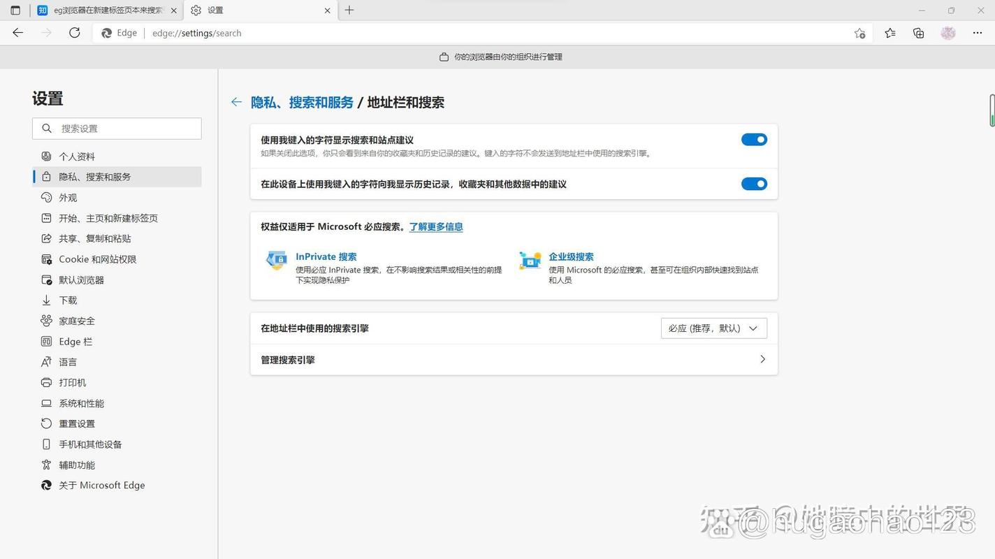 为什么我的Bing搜索结果页面突然不显示搜索内容了？