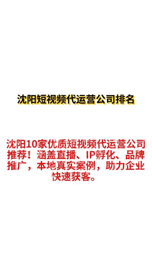 沈阳SEO优化专家哪家服务最好？
