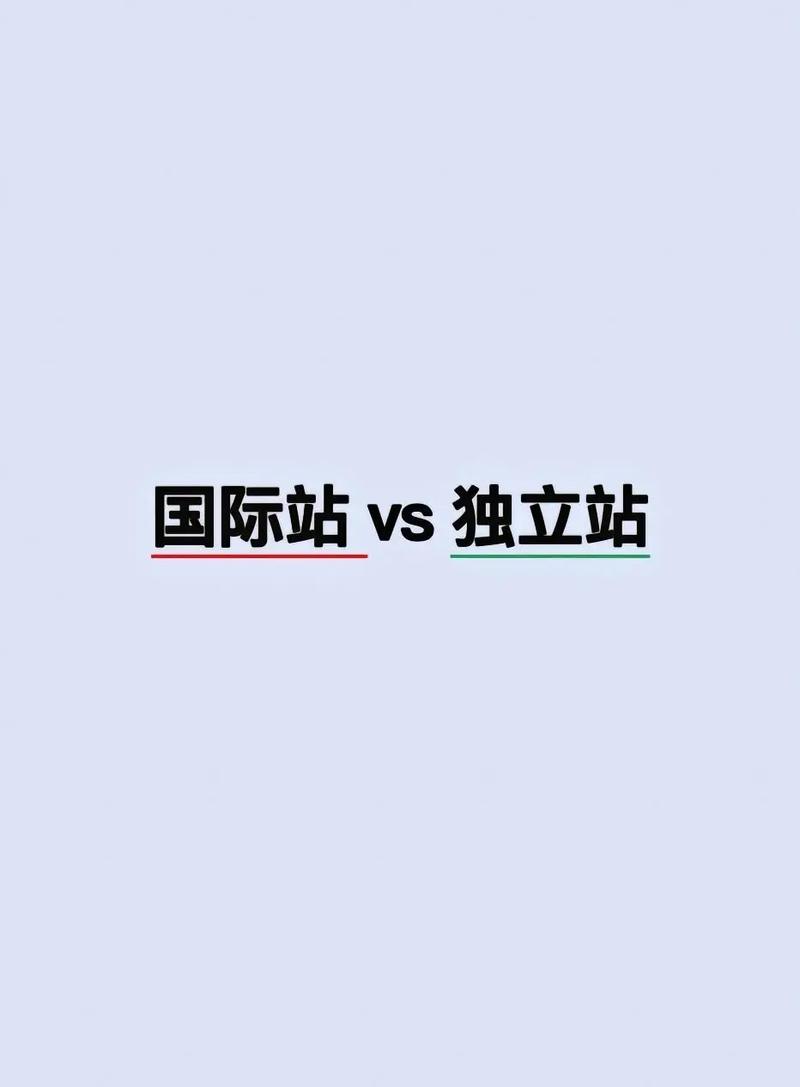 阿里巴巴与独立站哪个更适合电商新手？深度对比与选择建议？