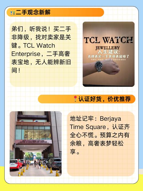 卖手表独立站如何规避侵权风险？