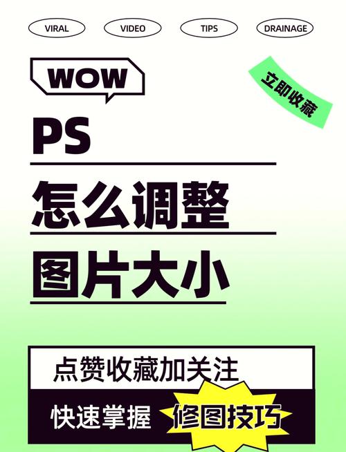 如何轻松调节独立站图片大小？新手必看实用指南！