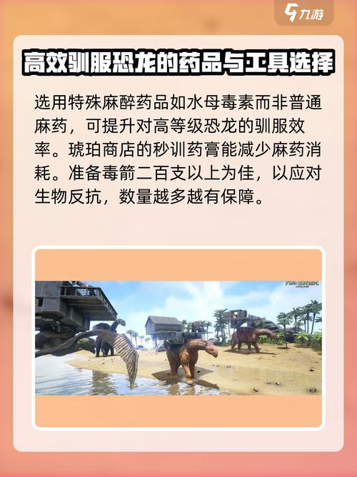 翼龙版网站崛起神器，一触即发，如何快速打造？