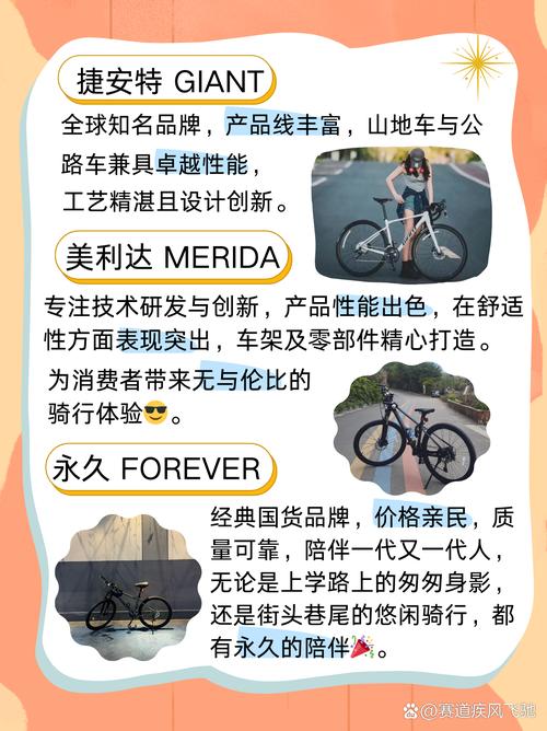 如何构建品牌护城河，把握高端自行车市场机遇与挑战？
