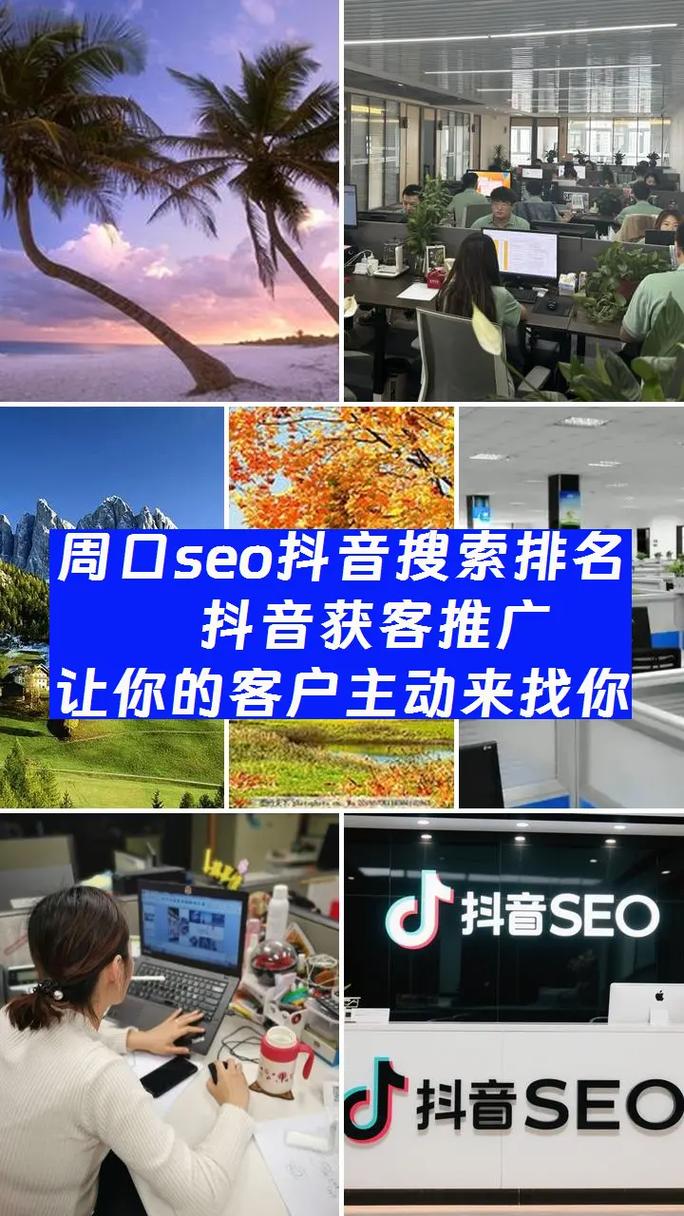 项城SEO正规首选，专业优化服务，哪家公司能提供？