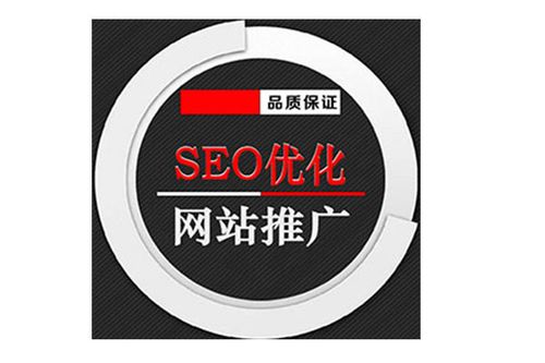 巢湖SEO优化专家，你们能帮我定制一个专业的网站吗？