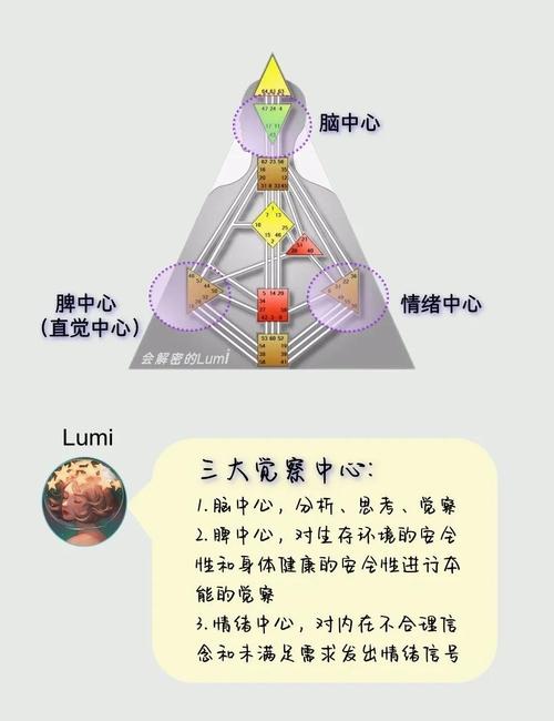 次级核心是什么意思？