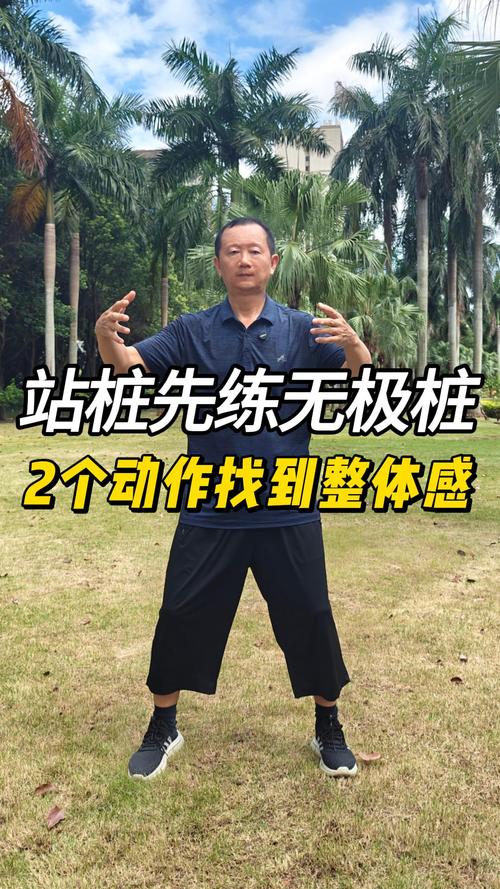 无极桩独立守神站桩视频，如何正确练习以达到最佳效果？