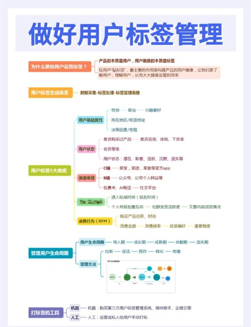 如何通过客户信息抓取神器，实现营销效率翻倍？