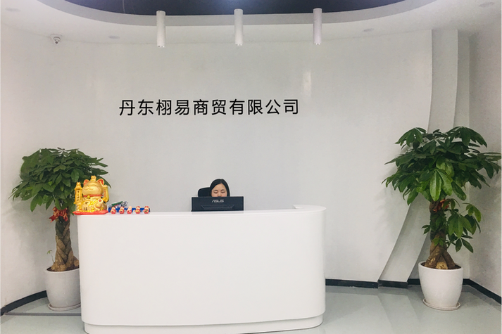 丹东SEO优化，哪家专业高效且价格透明？