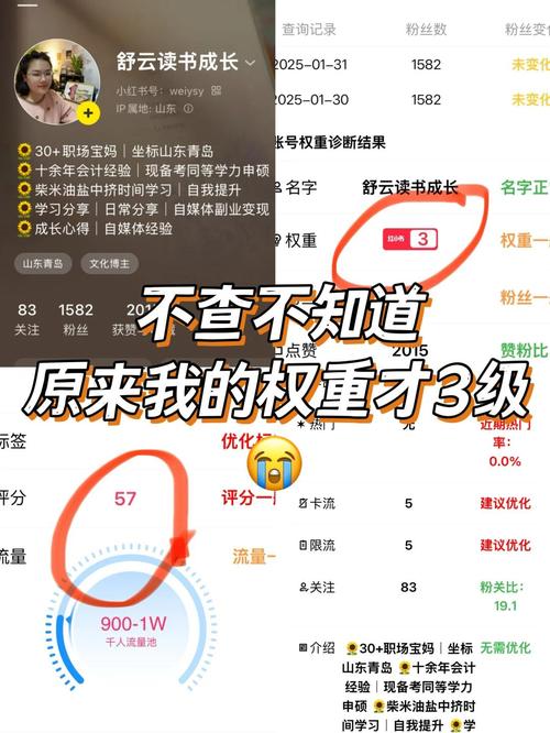 如何通过SEO优化利器精准查询网站权重？