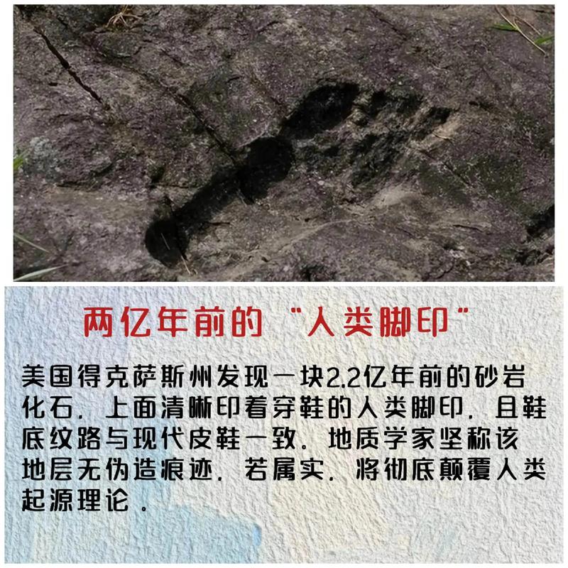 免费真相大揭秘，背后隐藏的秘密是什么？