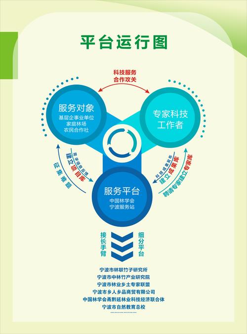 射阳SEO专家提供一站式服务，哪家机构最专业呢？