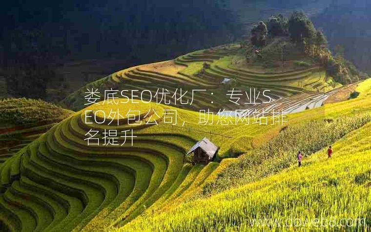 娄底长沙SEO优化，哪家专业外包服务值得信赖？