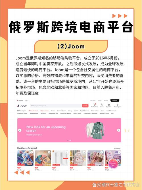 俄罗斯独立站跨境电商，如何抓住机遇应对挑战，找到破局之道？