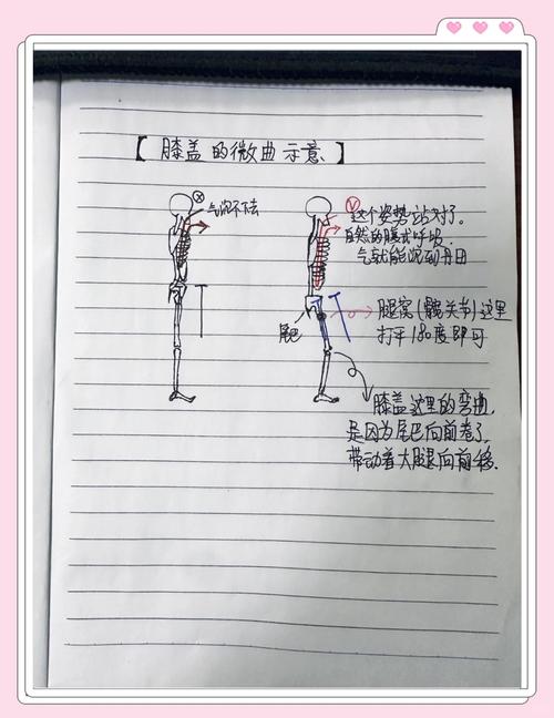 如何快速掌握观察别人独立站的技巧？新手入门指南？