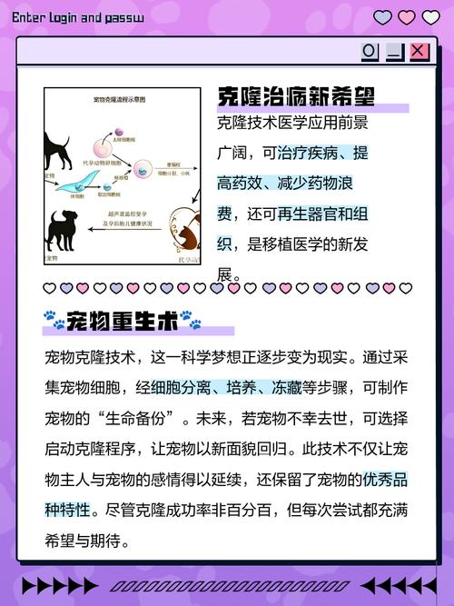 网站克隆的原理、优势与风险有哪些？