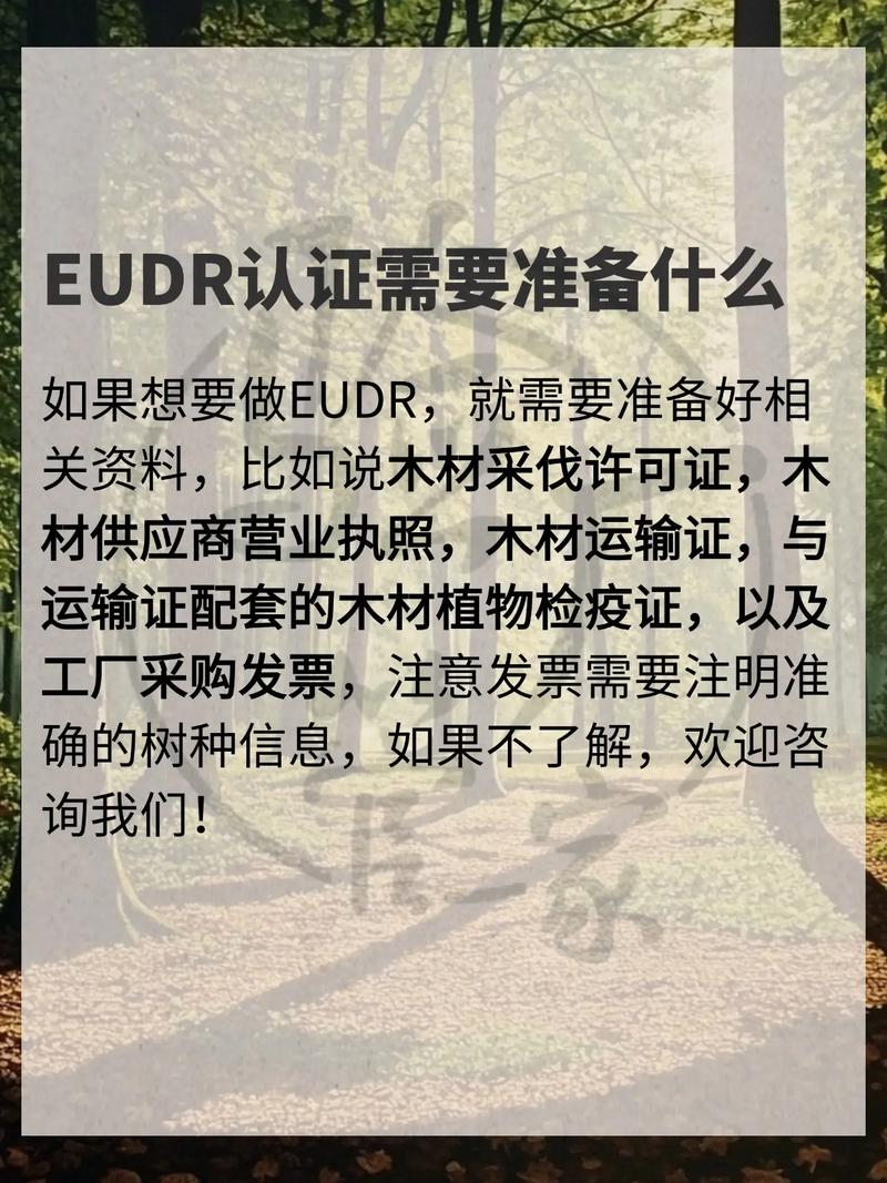 欧盟进口独立站货物需要办理哪些认证手续？