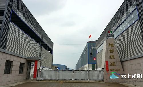 沁阳SEO专家，哪家服务最优质，您推荐哪家呢？