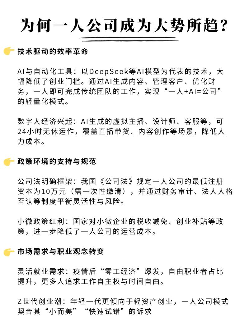 那些年入百万的一人公司，究竟如何将独立站运营得如此极致？