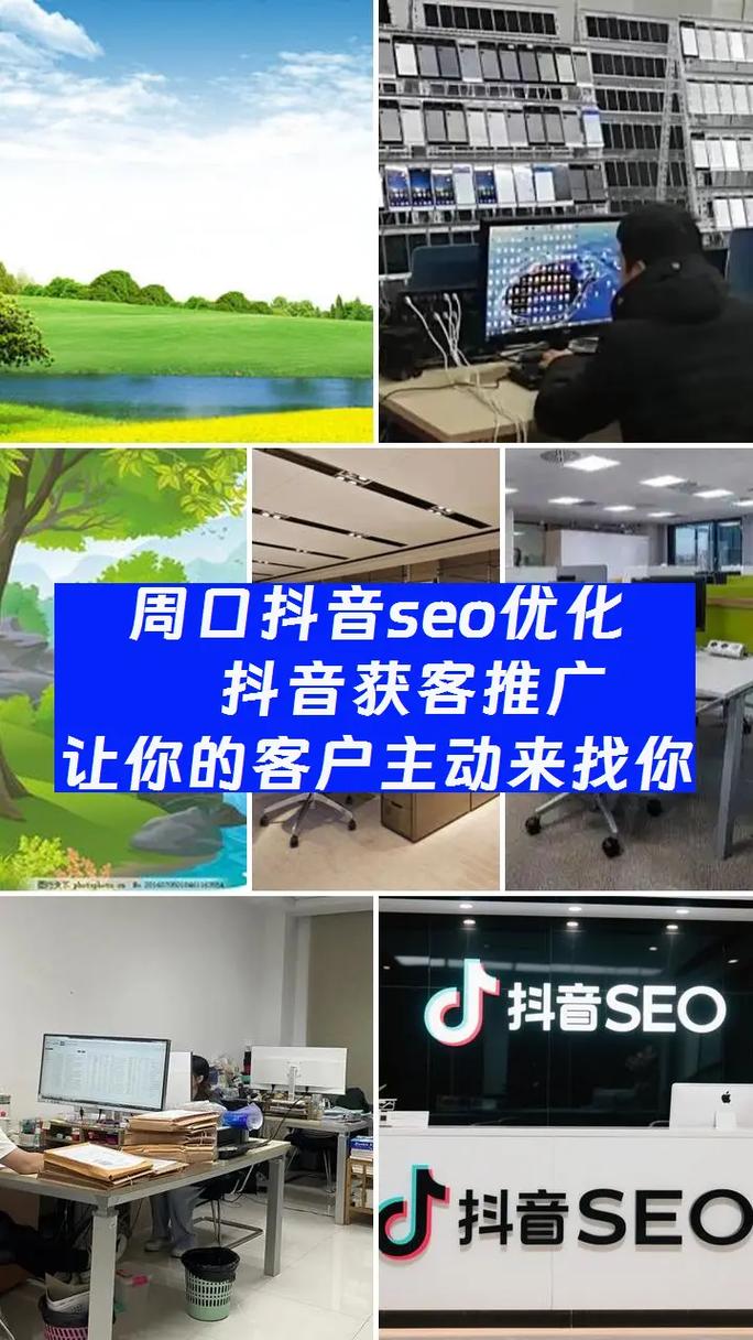 项城SEO正规首选，专业优化服务，哪家公司能提供？
