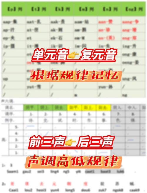 如何快速掌握外贸运营粤语技巧？新手入门必看指南有哪些？