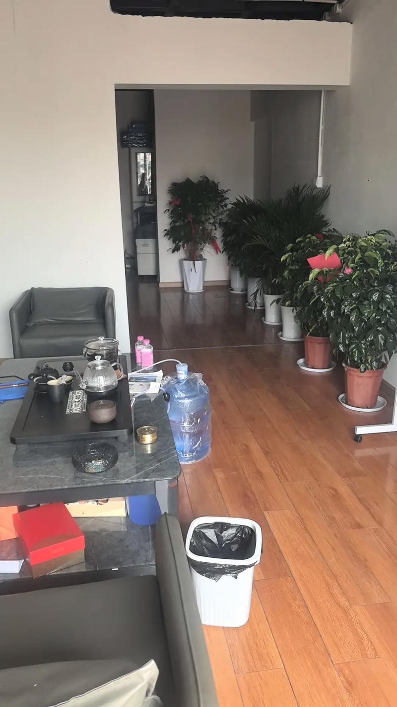 百色靖西SEO服务，深圳有哪些专业服务商推荐？