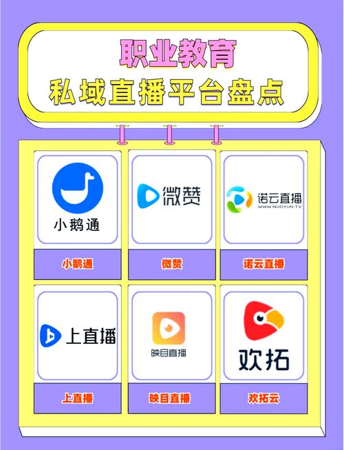 独立站私域直播有哪些规则和风险需要注意？