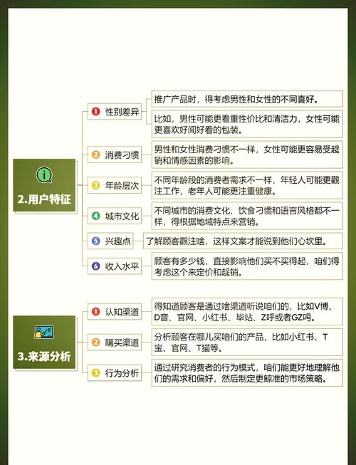 如何通过数据洞察构建独立站客户画像，实现营销策略落地？