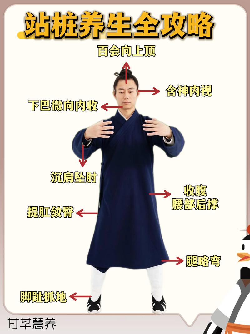 站桩功和金鸡独立哪个更适合我？如何根据个人体质选择？