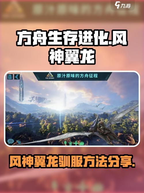 翼龙版网站崛起神器，一触即发，如何快速打造？