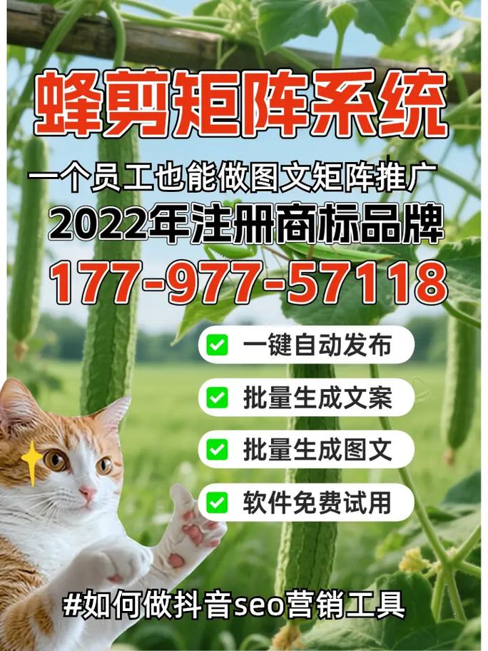 珠海SEO培训，网络营销利器，如何成为我的高效营销助手？