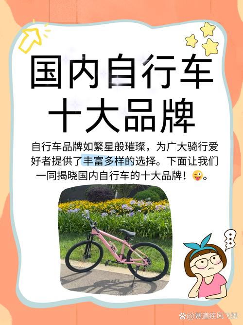 如何构建品牌护城河，把握高端自行车市场机遇与挑战？