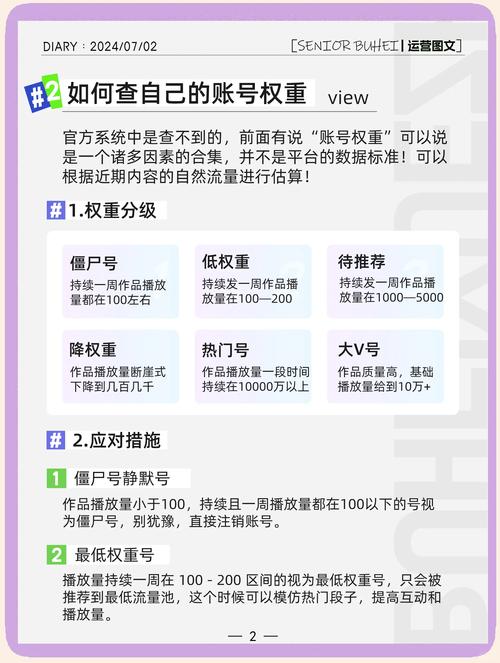 如何运用关键技巧高效提升网站权重？