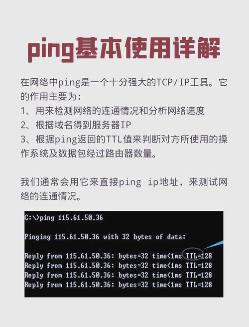 如何避免新手在邹平英文网站建设中踩到的常见陷阱？