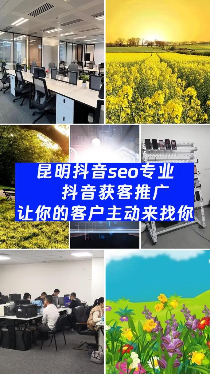 昆明SEO专家，你们能提供专业的优化服务吗？