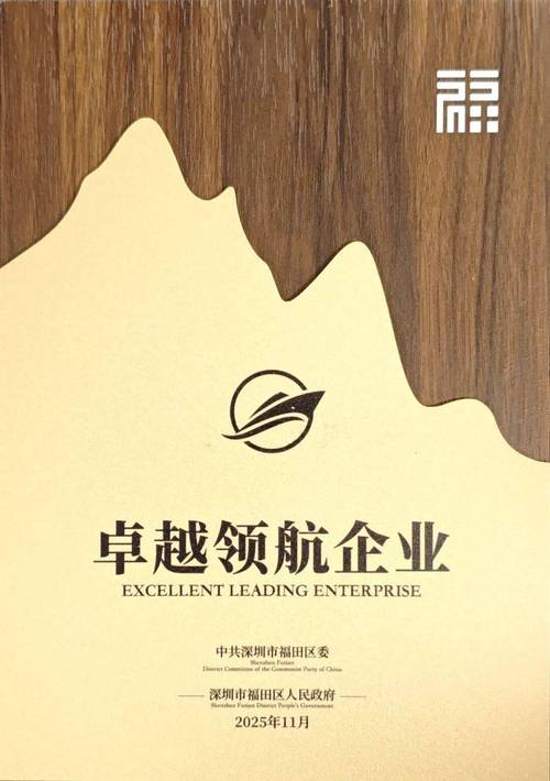 深圳SEO专家，罗湖优化领航者，哪家公司是真正的行业佼佼者呢？