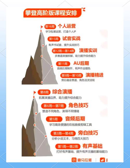 如何轻松驾驭内容创作，实现快速攀升排名的新境界呢？