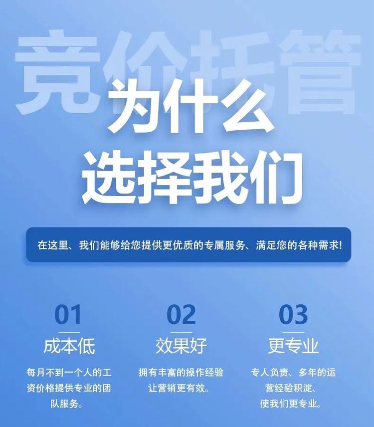 湘潭SEO优化服务，正规竞价价格透明，哪家公司最靠谱？