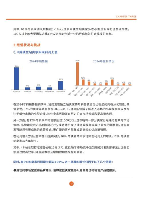 陶瓷独立站运营前景如何？行业深度解析及策略探讨？