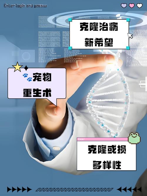 网站克隆的原理、优势与风险有哪些？