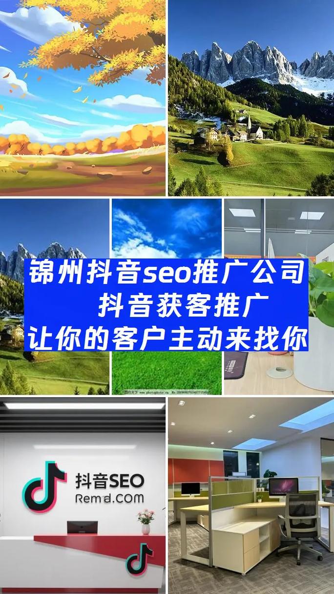 锦州SEO哪家更优，首选效果显著的是哪家呢？