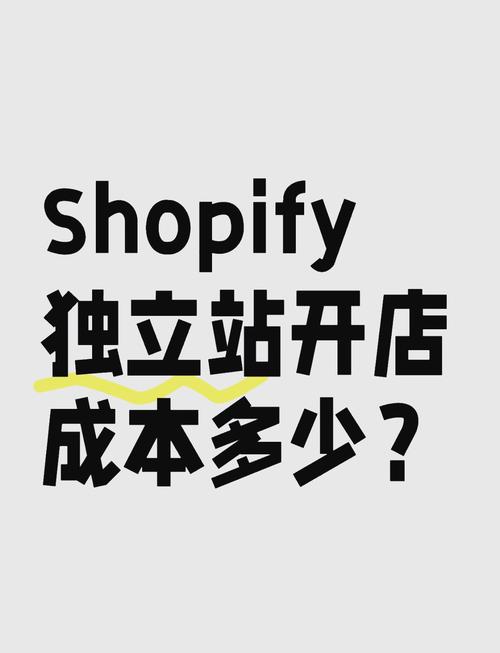 独立站投入成本高吗？新手开店会亏损吗？