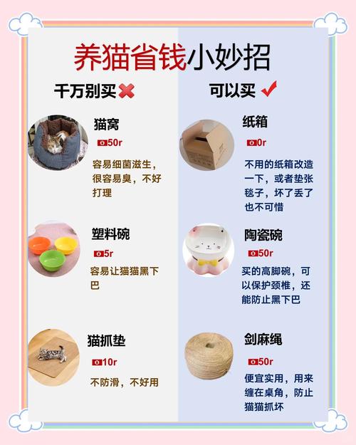如何降低50%成本开设独立站卖宠物？新手避坑指南与成本构成解析？