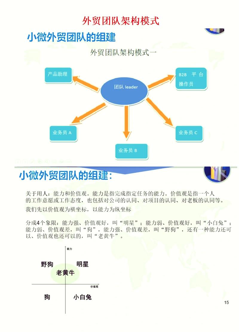 2026年外贸网站团队配置与分工，独立站需要多少人组成？