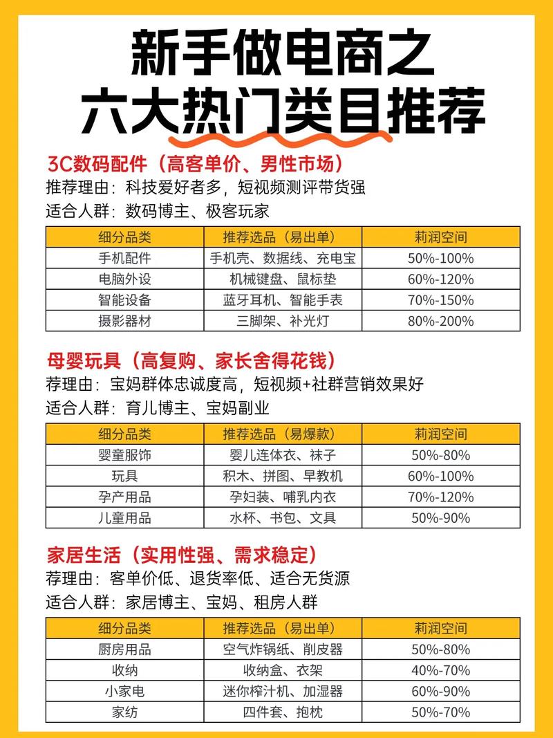 独立站做哪个类目入门简单且容易赚钱？