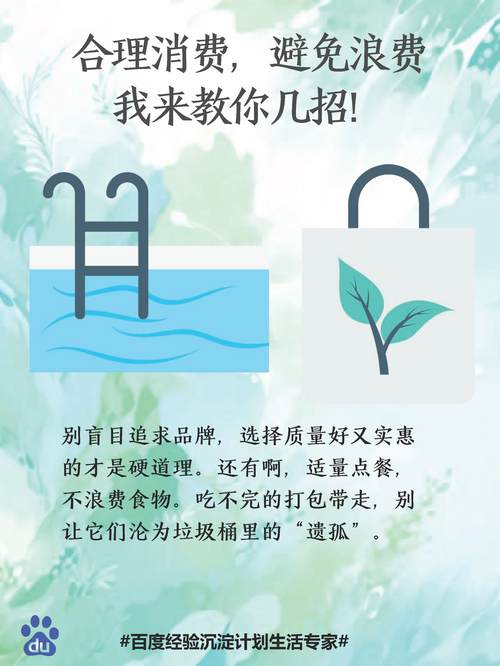 独立站订阅资金如何合理运用，避免浪费？